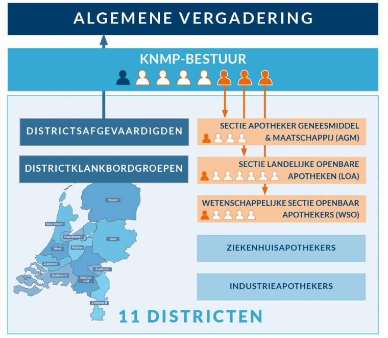 Schematische weergave van de structuur van de KNMP