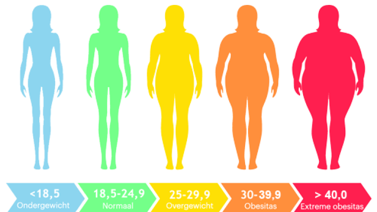 afb obesitas